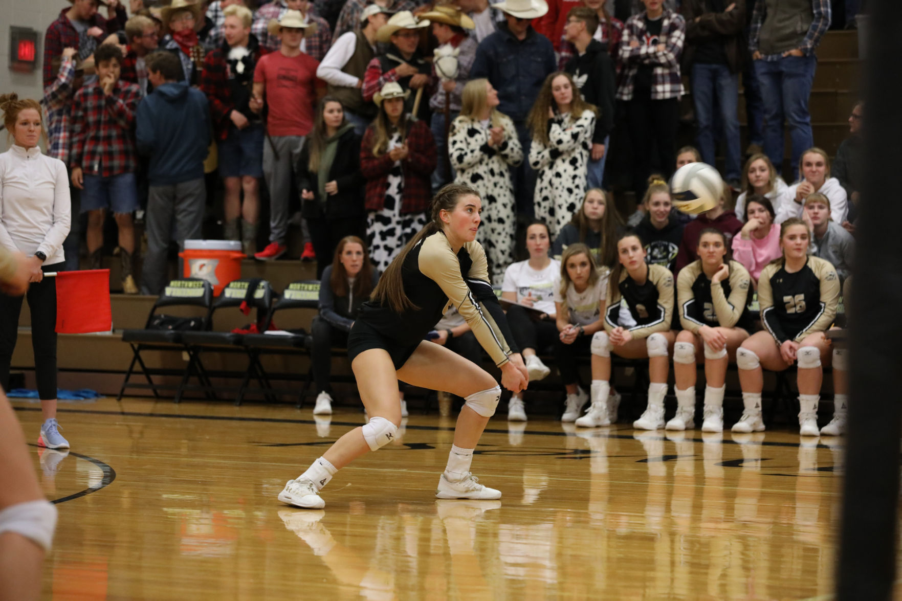 Outtakes_103119_northwestauroravball_zlm027A.JPG